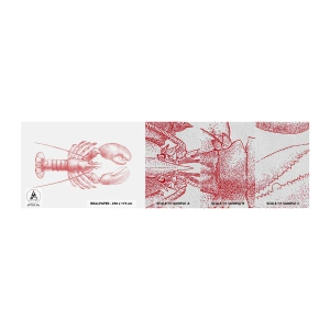 Vzorka fototapety Premium Sand - Homár hodný Homéra - Homár, Morské plody, Mäkkýše - 100x30 cm