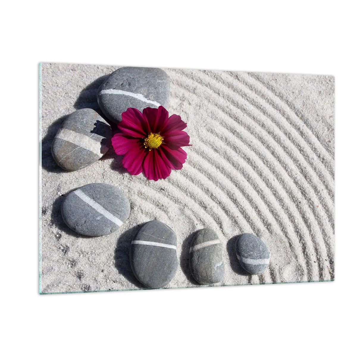 Obraz na skle - Energia a pokoj magického kruhu prírody - 120x80 cm