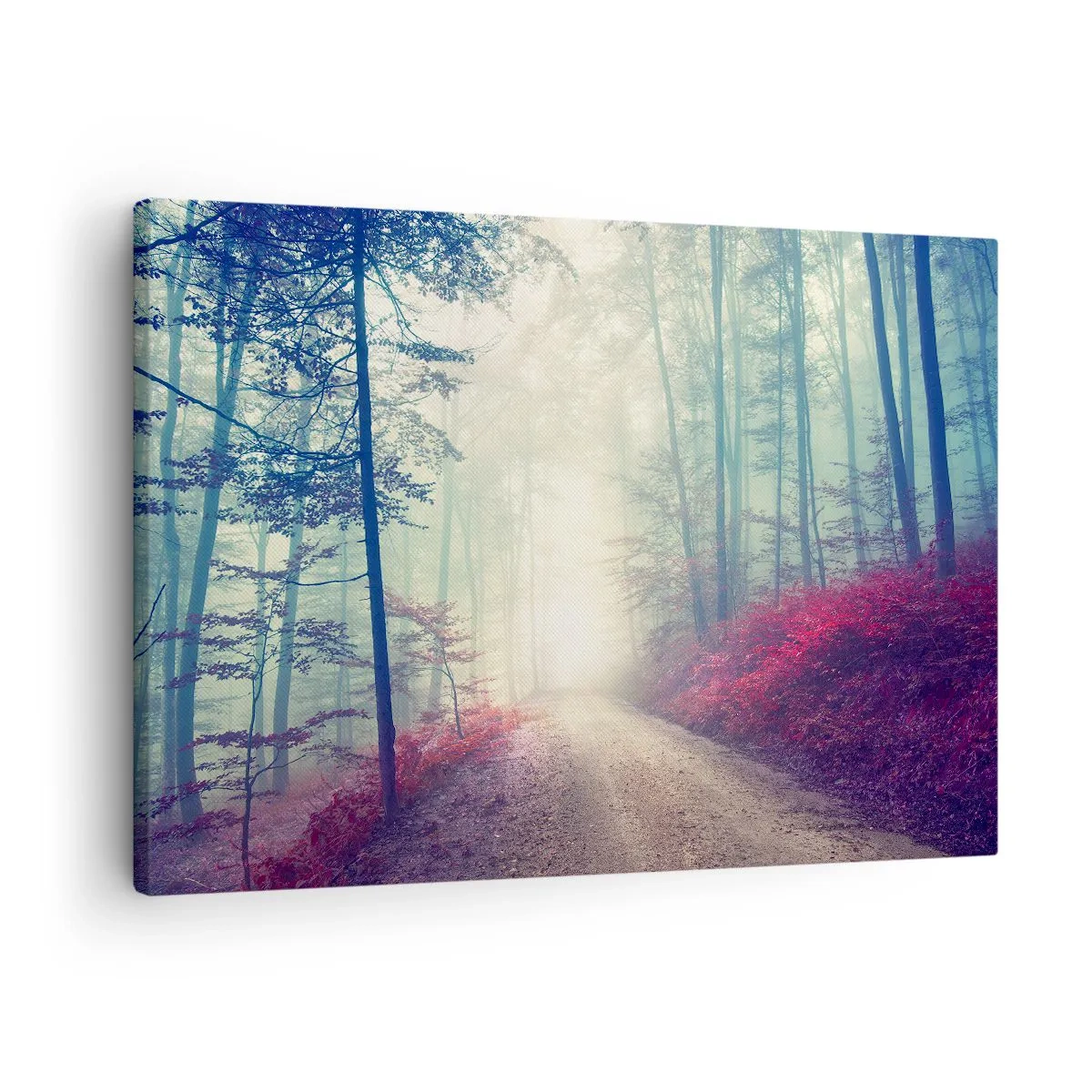 Obraz na plátne - Čarovný lesný chodník obklopený stromami a hmlou - 70x50cm - Je dobre vstať s východom slnka - Moderná nástenná dekorácia do obývacej izby a spálne ARTTOR