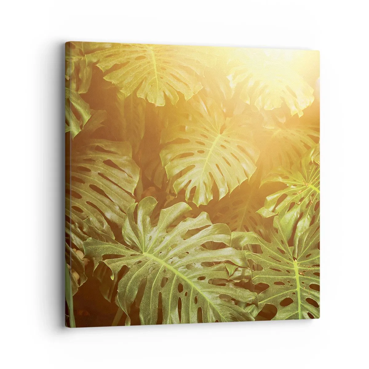 Obraz na plátne - Vstúpiť do zelene… - 30x30 cm