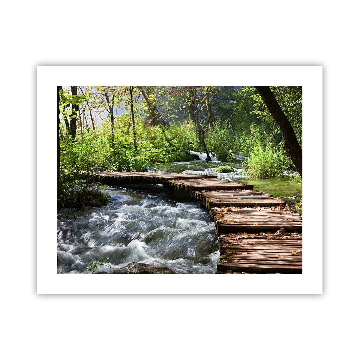 Plagát - Pri spenenom vodopáde - 50x40 cm