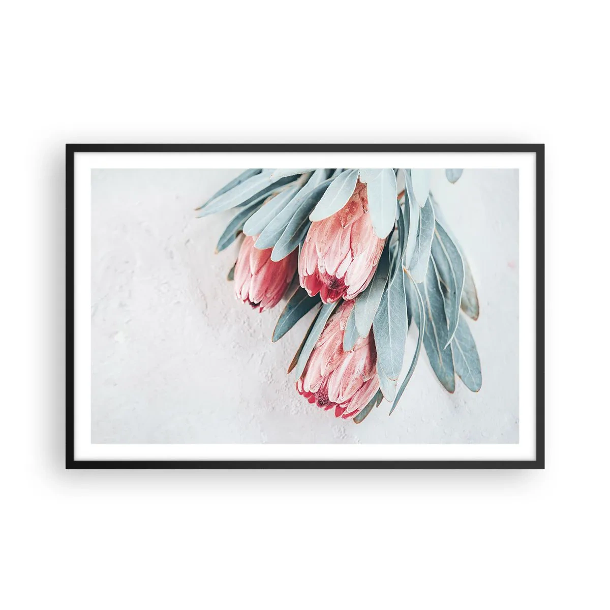 Plagát v čiernom ráme - Zahanbené svojou vlastnou krásou - 91x61 cm