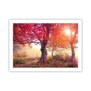 Plagát - Šialenstvo rozkvetu - 70x50 cm