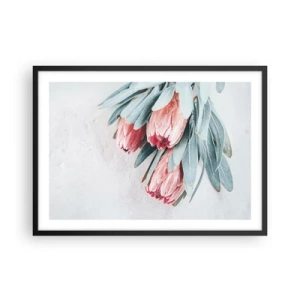 Plagát v čiernom ráme - Zahanbené svojou vlastnou krásou - 70x50 cm
