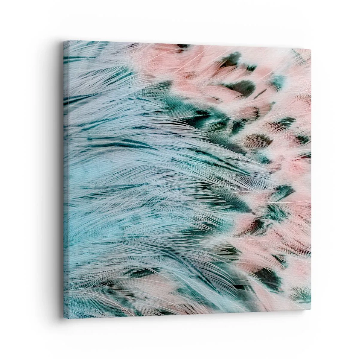 Obraz na plátne - Zafírovo ružové páperie - 30x30 cm