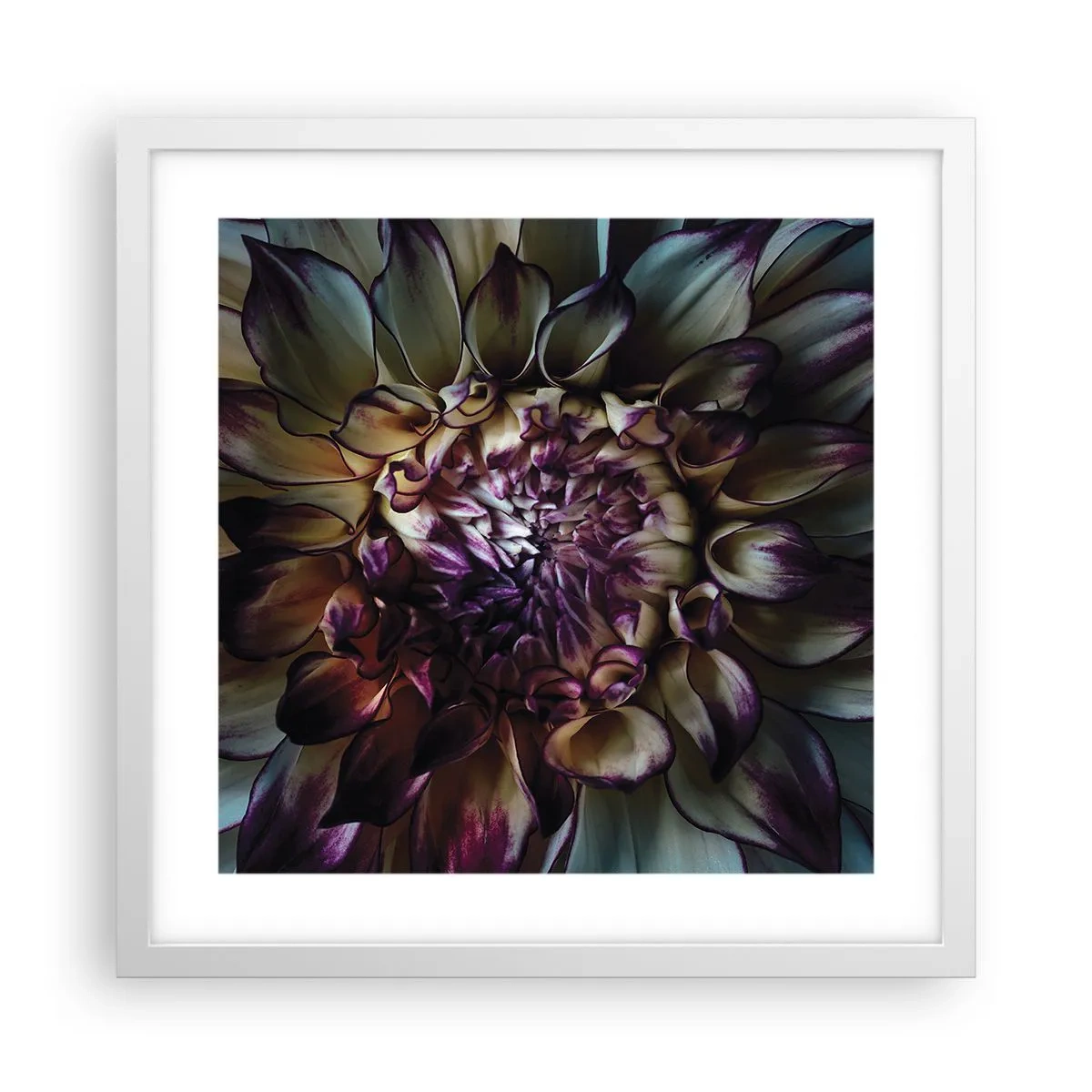 Plagát v bielom ráme - Rozkvet mladosti - 40x40 cm