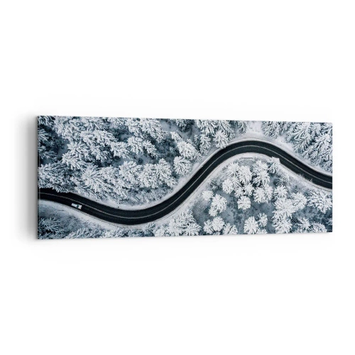 Obraz na plátne - Zimným lesom - 140x50 cm