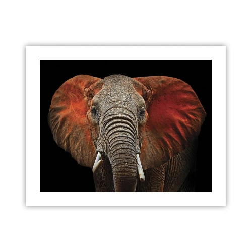 Plagát - Som divoký, a ty? - 50x40 cm