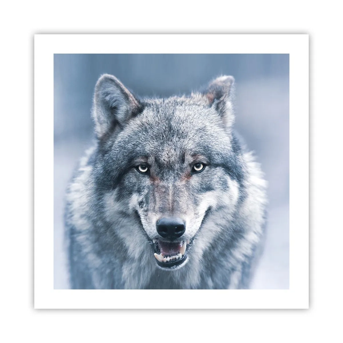 Plagát - Prijmete túto výzvu? - 50x50 cm