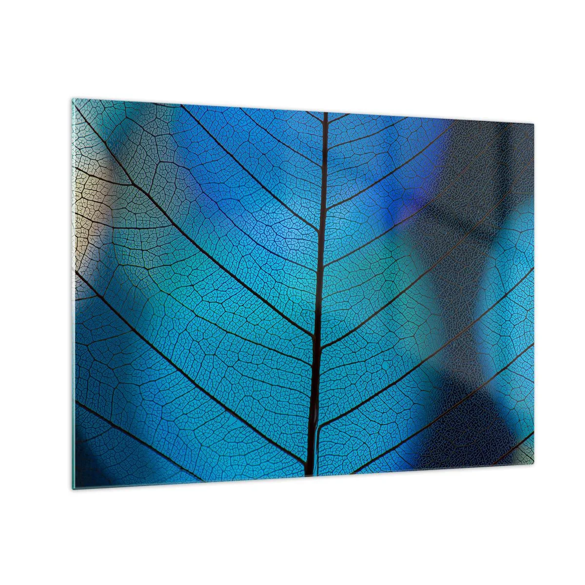 Obraz na skle - Detailný záber modrého listu zobrazujúci štruktúru žíl. - 70x50cm - Až do detailov - Moderná nástenná dekorácia do obývacej izby a spálne ARTTOR