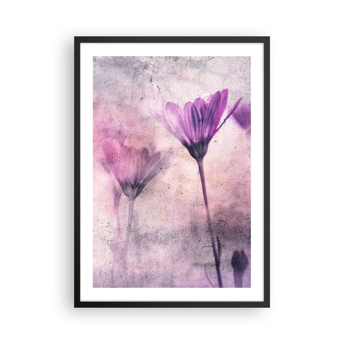 Plagát v čiernom ráme - Jemné kvety v odtieňoch ružovej a fialovej na svetlom pozadí - 50x70cm - Sen kvetov - Moderná nástenná dekorácia do obývacej izby a spálne ARTTOR