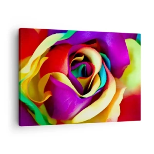 Obraz na plátne - Farebná ruža v dúhových odtieňoch - 70x50cm - To nie je možné - Moderná nástenná dekorácia do obývacej izby a spálne ARTTOR