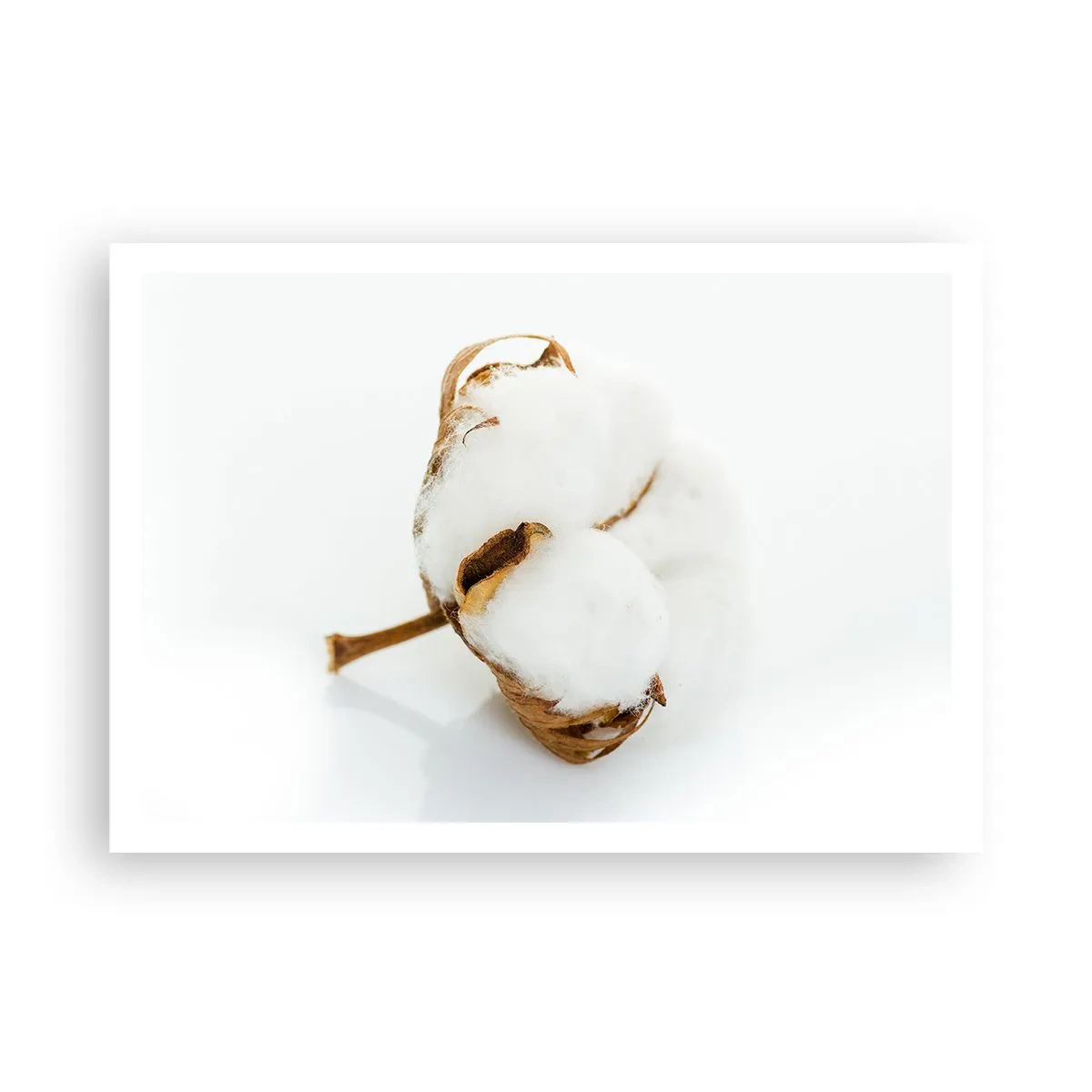 Plagát - Mäkká od prírody - 100x70 cm