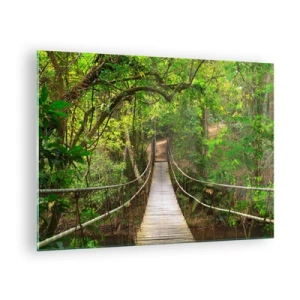 Obraz na skle - Visutý most v tropickom lese - 70x50cm - Lebo na záhrade rastú popínavé rastliny - Moderná nástenná dekorácia do obývacej izby a spálne ARTTOR