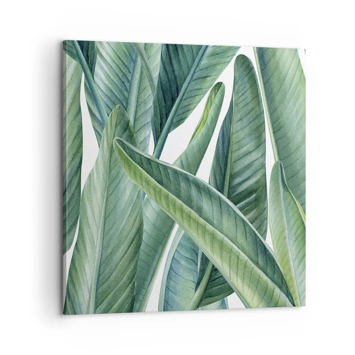 Obraz na plátne - Proste zelená - 60x60 cm