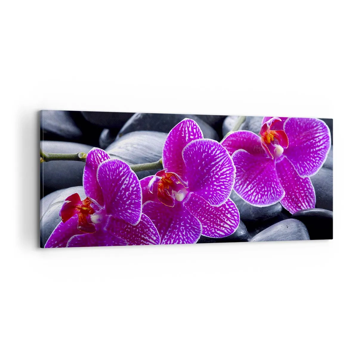 Obraz na plátne - Kamene sa rozžiarili nadšením - 120x50 cm