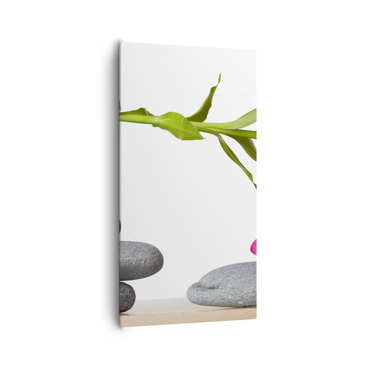 Obraz na plátne - Farby života a trvania - 65x120 cm