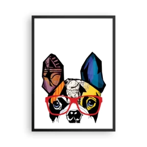 Plagát v čiernom ráme - Farebný portrét psa s okuliarmi - 50x70cm - Intelektuál - Moderná nástenná dekorácia do obývacej izby a spálne ARTTOR