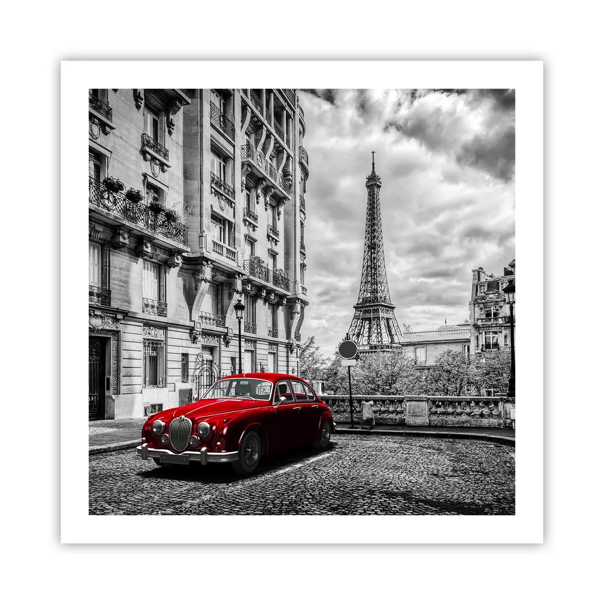 Plagát - Dravec v meste - 60x60 cm