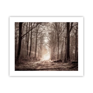 Plagát - Lesná katedrála - 50x40 cm