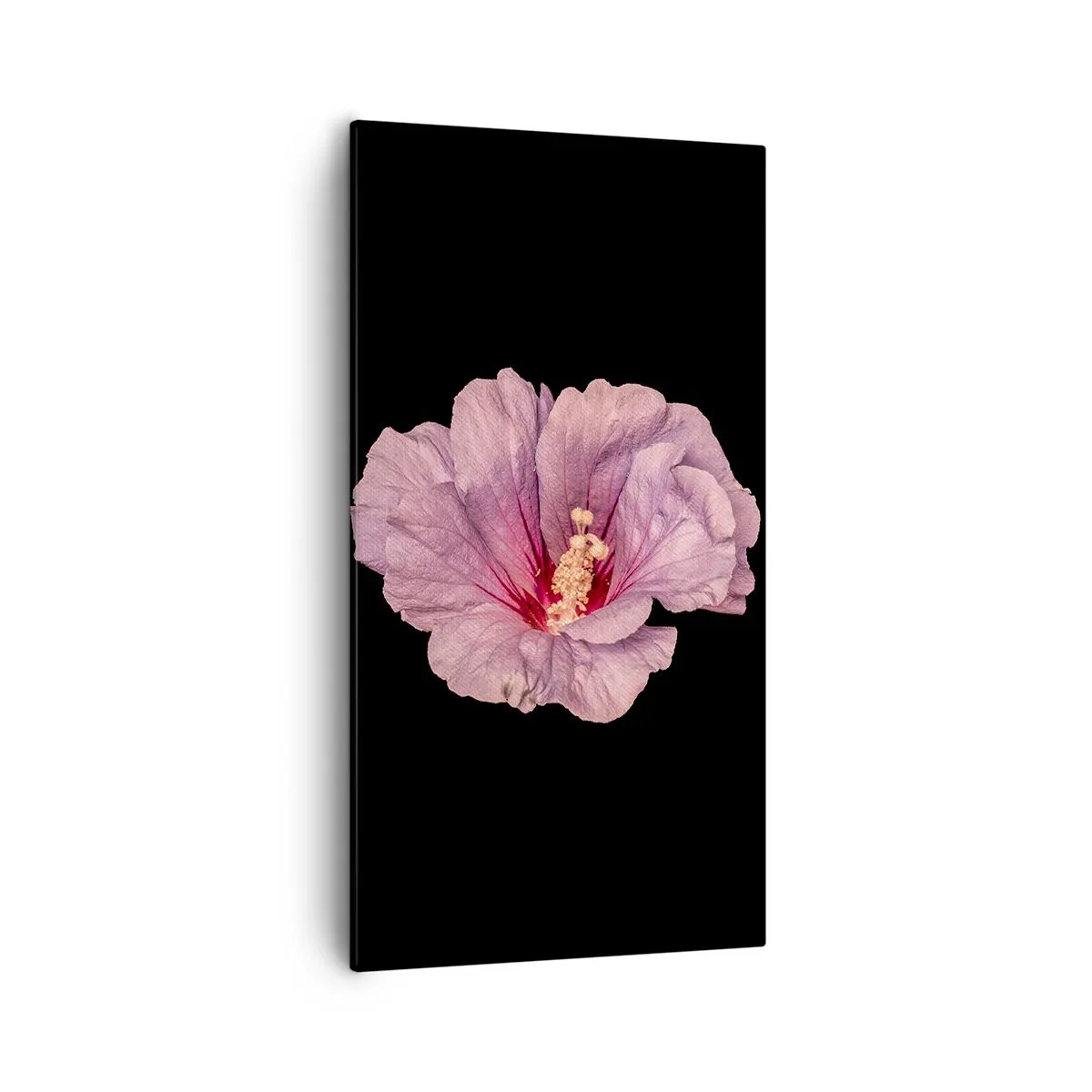 Obraz na plátne - Priamo do srdca - 55x100 cm