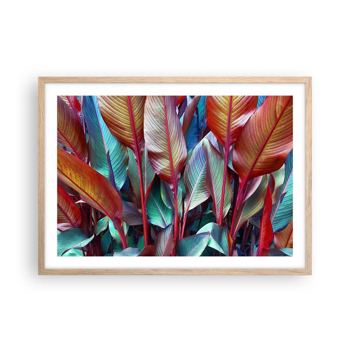 Plagát v ráme zo svetlého duba - Farebná húština - 70x50 cm