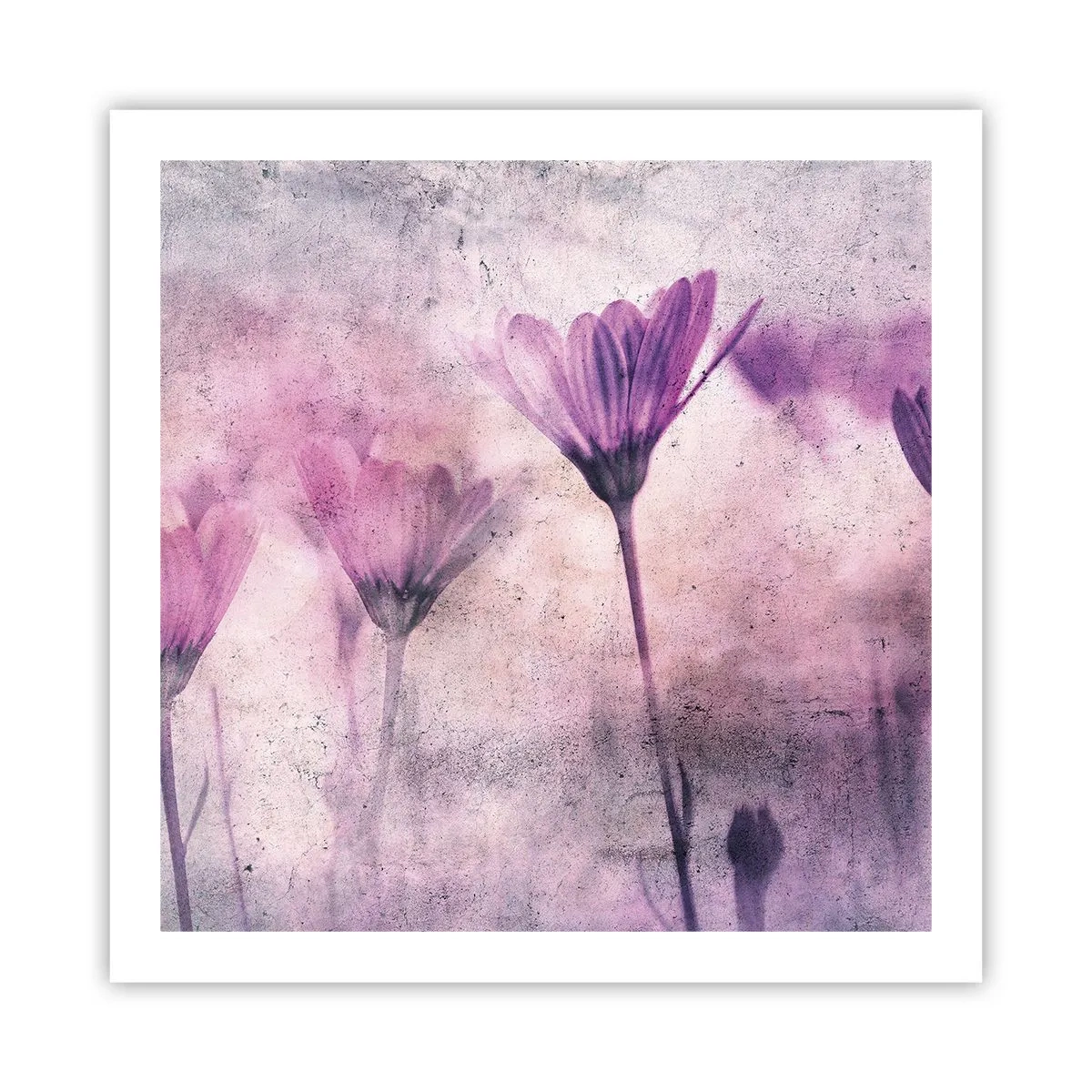 Plagát - Sen kvetov - 60x60 cm