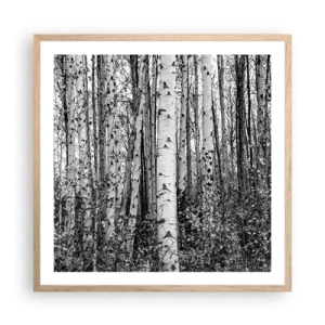 Plagát v ráme zo svetlého duba - Brezová kolonáda - 60x60 cm