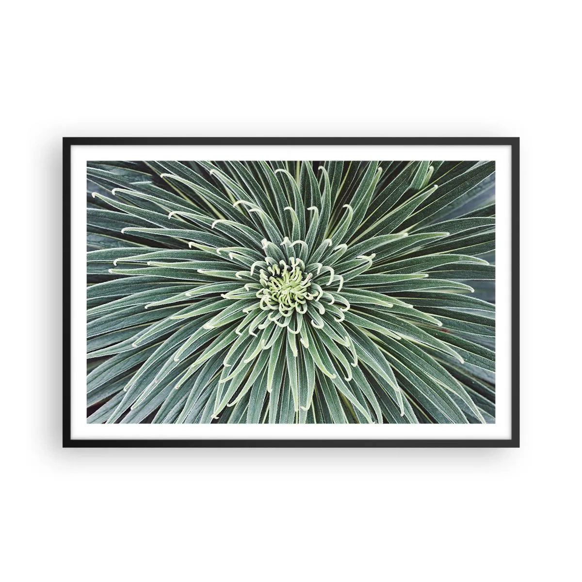 Plagát v čiernom ráme - Zrodenie hviezdy - 91x61 cm