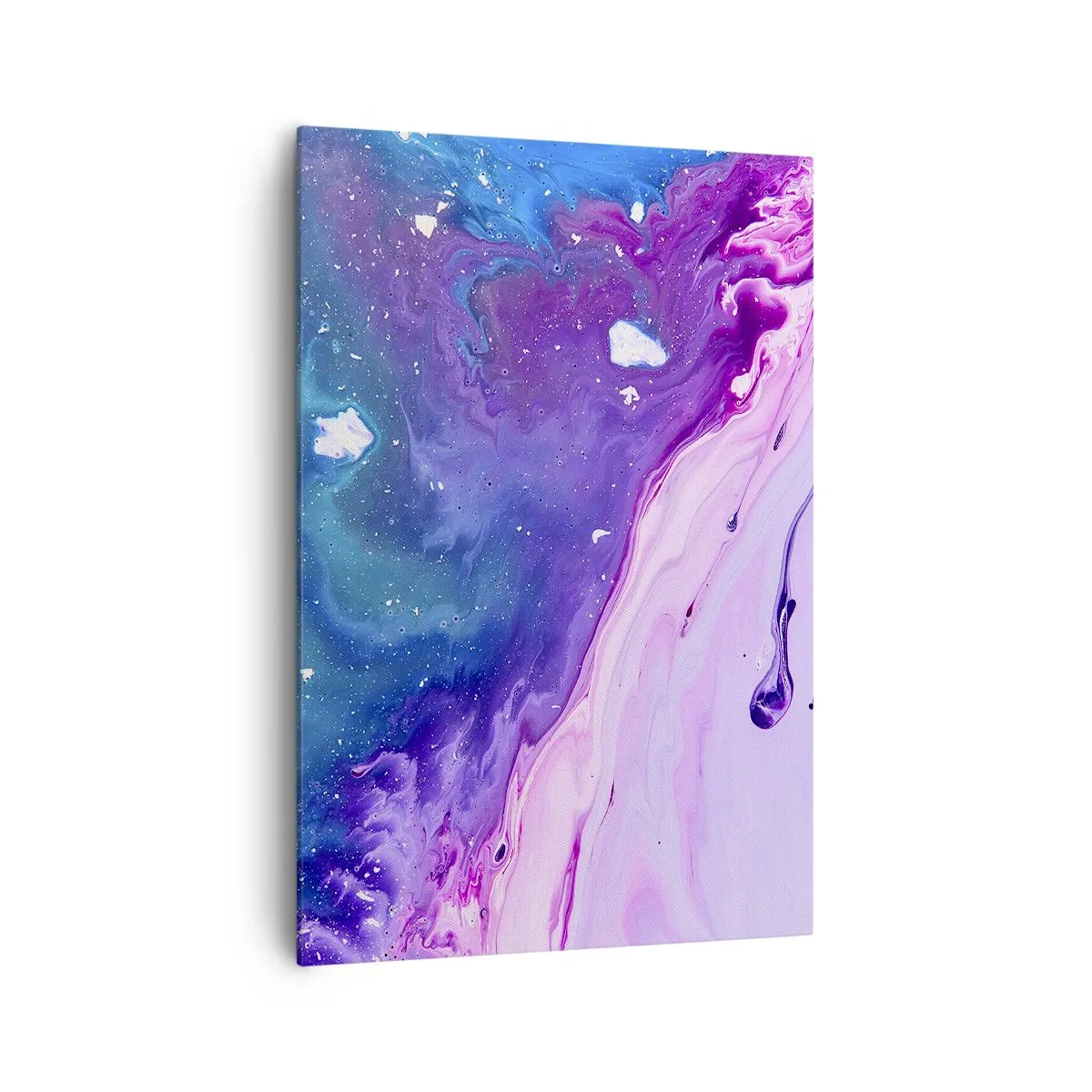 Obraz na plátne - Yin a yang - 70x100 cm