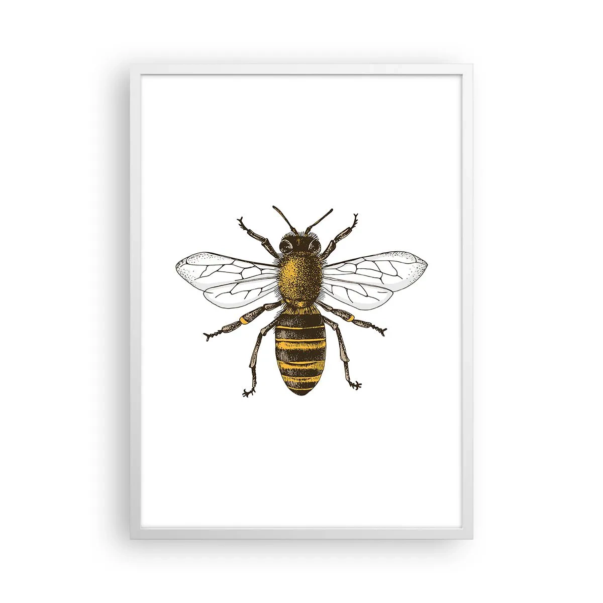 Plagát v bielom ráme - Krásna a dobrá - 50x70 cm