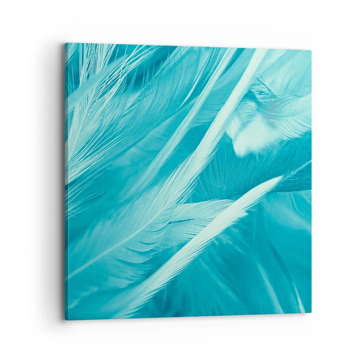 Obraz na plátne - Utopiť sa v páperí - 70x70 cm