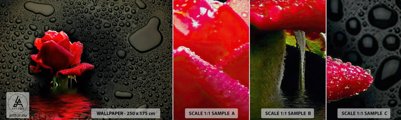Vzorka fototapety Premium Canvas - Červené a čierne - Kvety, Rose, Voda - 100x30 cm