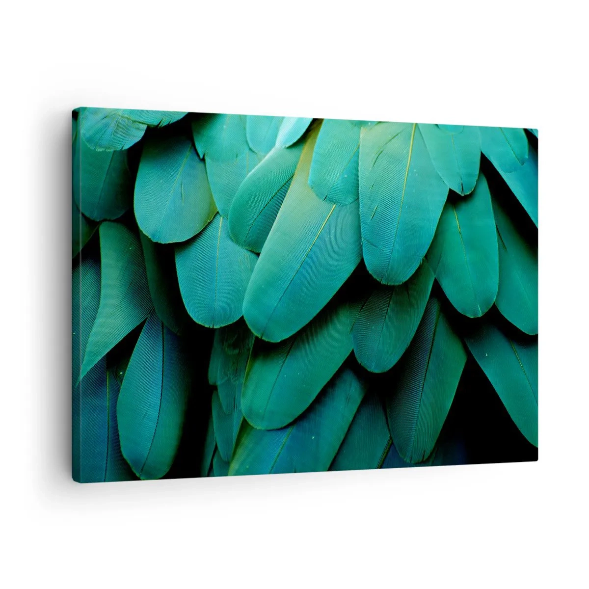Obraz na plátne - Detaily pierok v odtieňoch zelenej - 70x50cm - Presnosť papagájovej povahy - Moderná nástenná dekorácia do obývacej izby a spálne ARTTOR