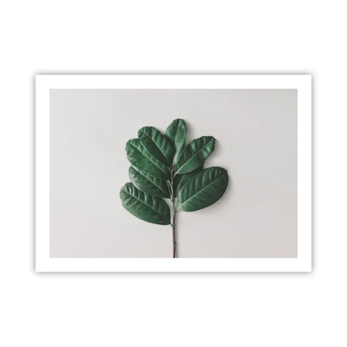 Plagát - Kresba samotnej prírody - 70x50 cm