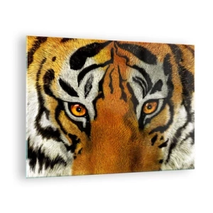 Obraz na skle - Detailný záber na intenzívny pohľad tigra - 70x50cm - Nebezpečný a krásny - Moderná nástenná dekorácia do obývacej izby a spálne ARTTOR