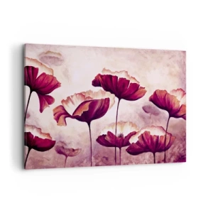 Obraz na plátne - Červený a biely plátok - 100x70 cm