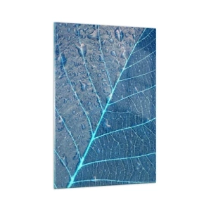 Obraz na skle - Modrý život - 70x100 cm