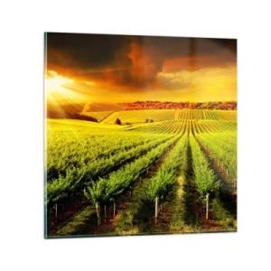 Obraz na skle - Pod austrálskym slnkom - 60x60 cm