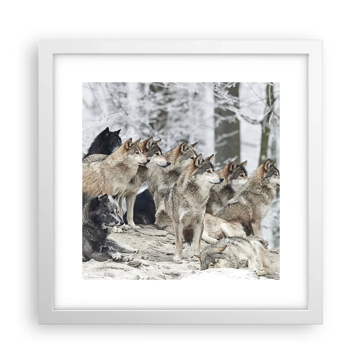 Plagát v bielom ráme - Rodina a priatelia - 30x30 cm