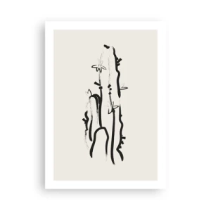 Plagát - Kvitnúca bylina - 50x70 cm