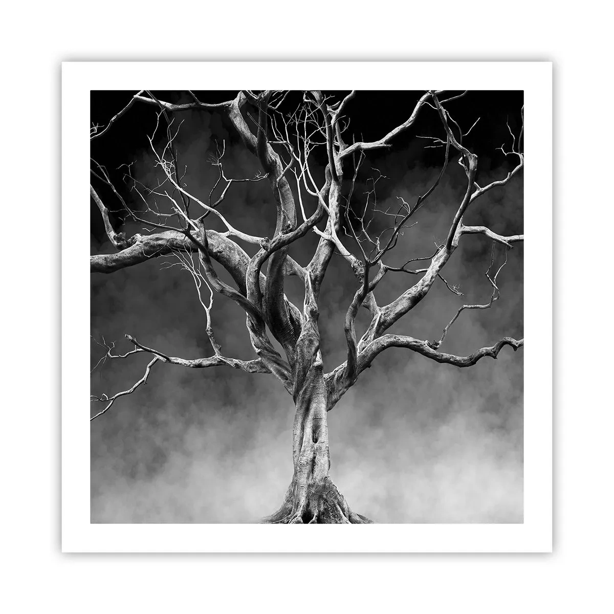 Plagát - Pôvodné a sväté - 60x60 cm