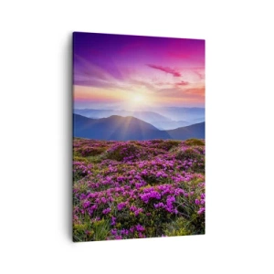 Obraz na plátne - Zavoňali svieže púčiky byliniek z obilných polí - 50x70 cm