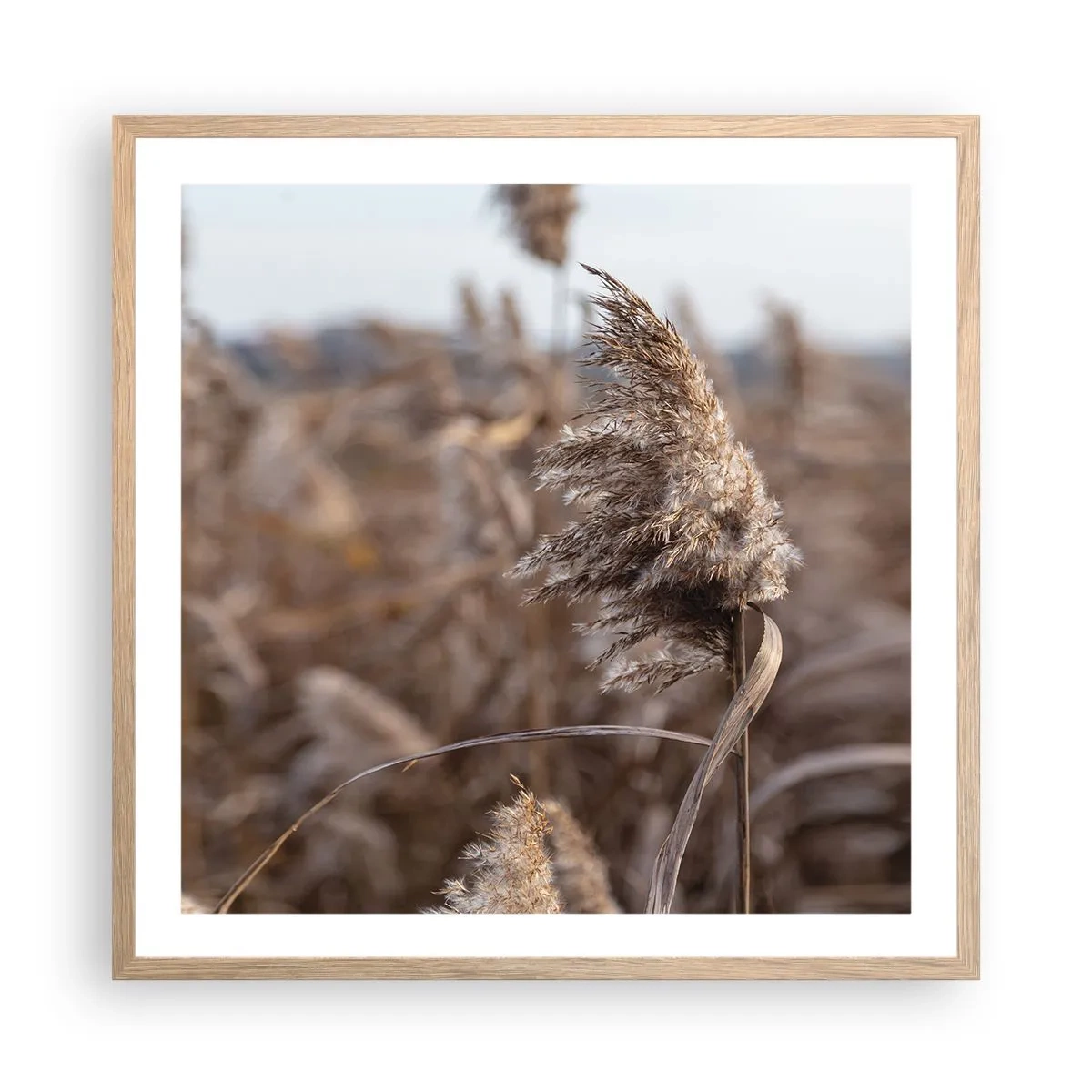 Plagát v ráme zo svetlého duba - Čas odletieť s vetrom - 60x60 cm