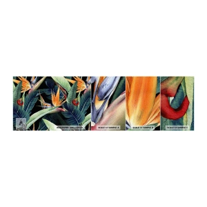 Vzorka samolepiacej fototapety Deluxe Sticker - Plamenné kvety trópov - Strelitzia Royal, Kvetina, Afriky - 100x30 cm