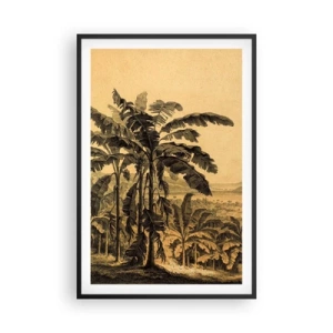Plagát v čiernom ráme - V koloniálnom štýle - 61x91 cm