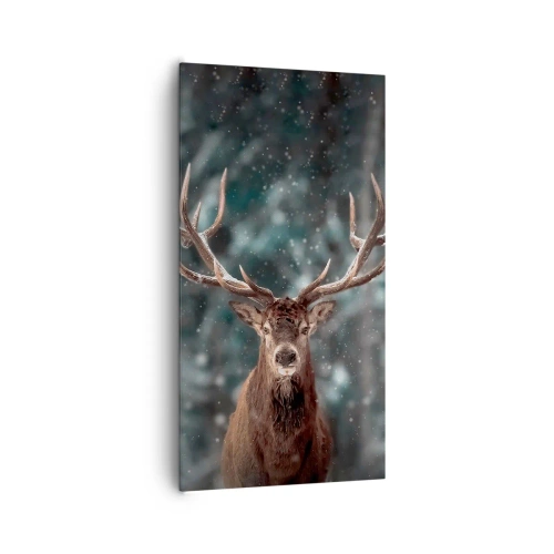 Obraz na plátne - Skutočný kráľ lesa - 65x120 cm