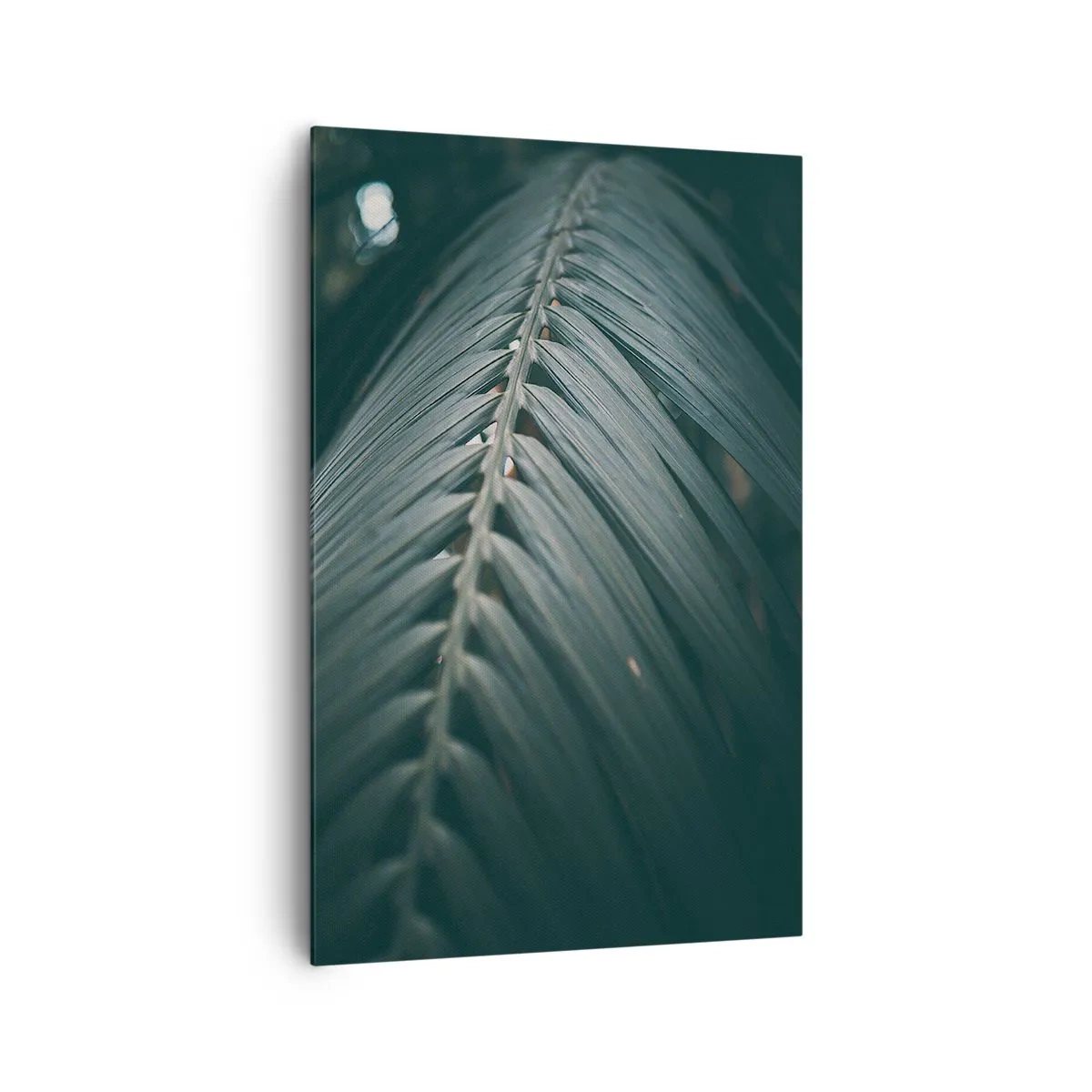 Obraz na plátne - Presnosť prírody - 80x120 cm