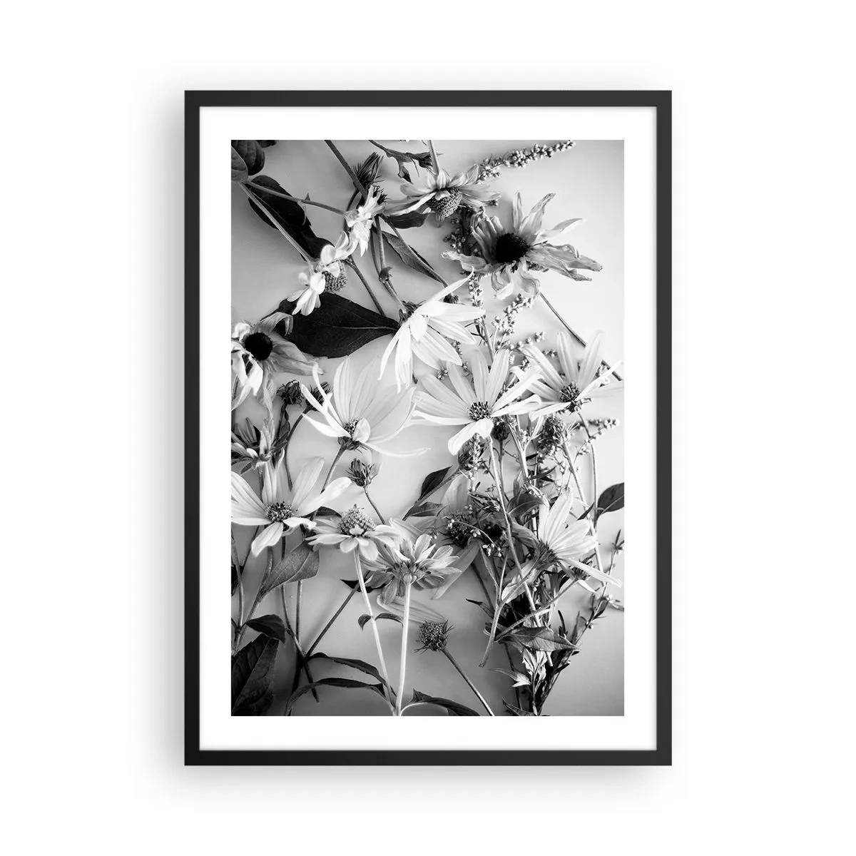 Plagát v čiernom ráme - Čiernobiele kvety naaranžované v umeleckom aranžmáne - 50x70cm - Kvety bez kytice - Moderná nástenná dekorácia do obývacej izby a spálne ARTTOR