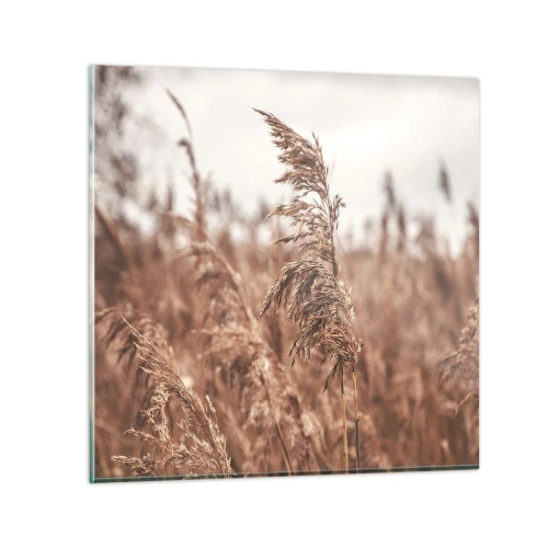 Obraz na skle - Na poliach už je jeseň - 60x60 cm